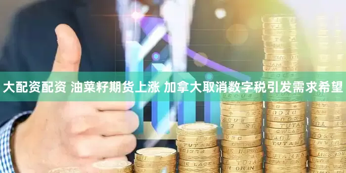 大配资配资 油菜籽期货上涨 加拿大取消数字税引发需求希望