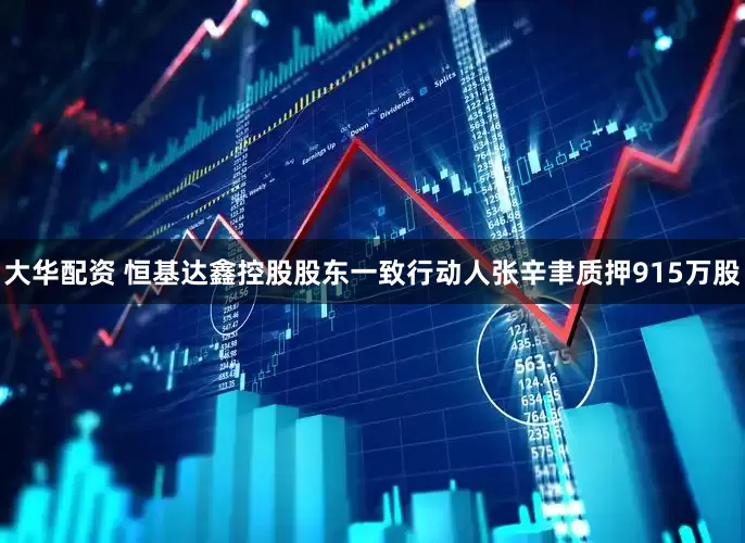 大华配资 恒基达鑫控股股东一致行动人张辛聿质押915万股