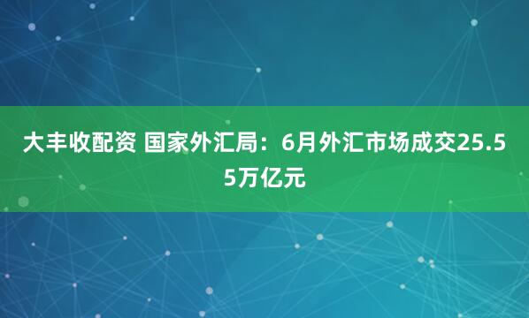 大丰收配资 国家外汇局:6月外汇市场成交25.55万亿元
